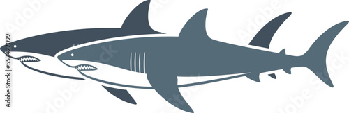 Shark logo. Isolated shark on white background