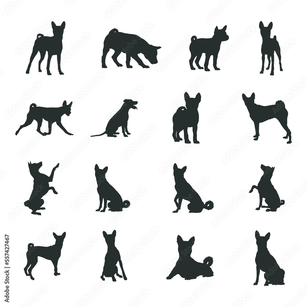 Basenji Dog Silhouettes, Basenji Dog silhouette set. Basenji Dog Silhouettes, Basenji Dog silhouette set.