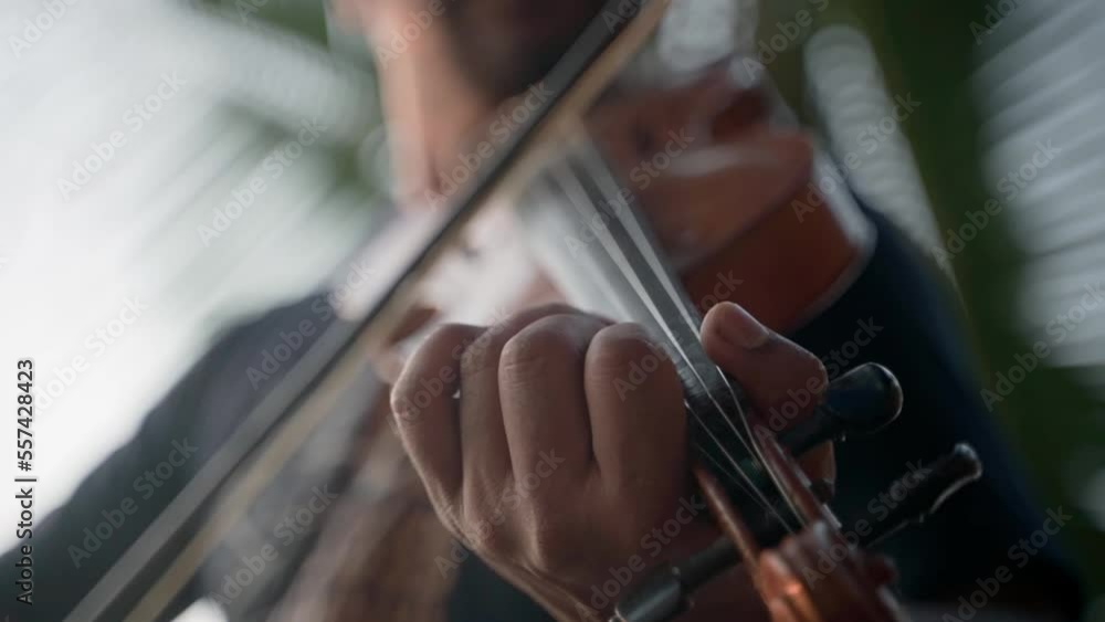 Close-up of the violinist, playing the violin, the concept of the music. Close-up of the violinist, playing the violin, the concept of the music.