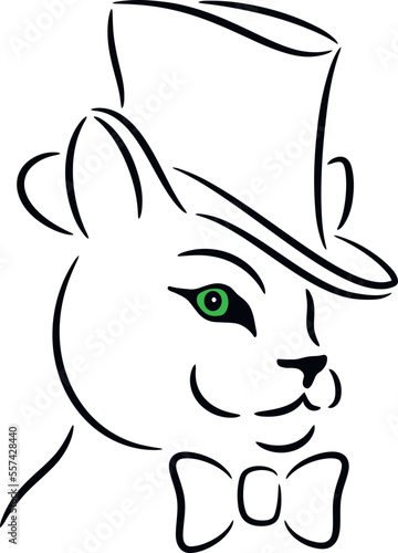 Portrait of cat with bow tie and top hat, isolated