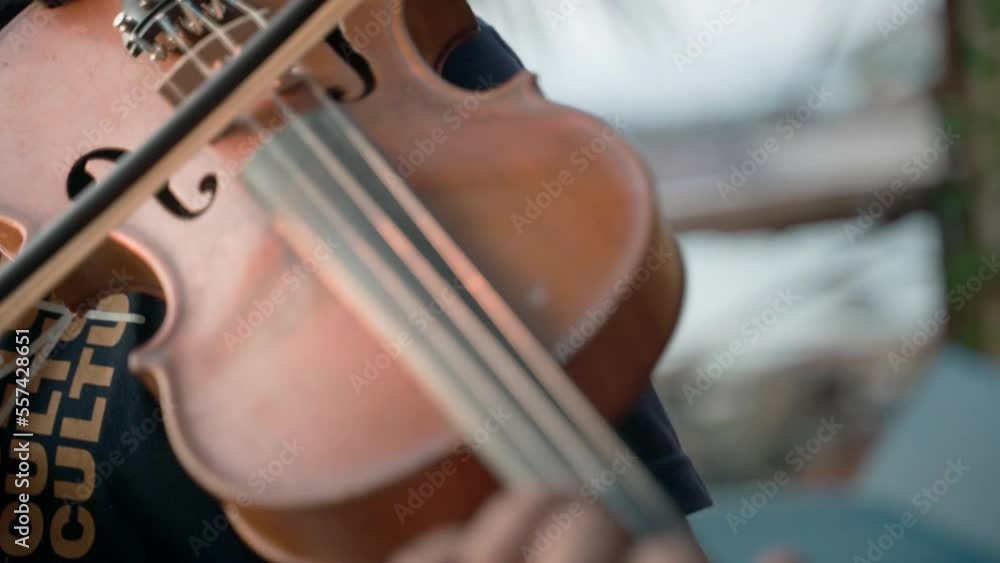 Close-up of the violinist, playing the violin, the concept of the music. Close-up of the violinist, playing the violin, the concept of the music.