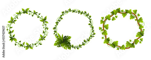 Creepers circle frame climbing greenery plant decor element set vector flat illustration