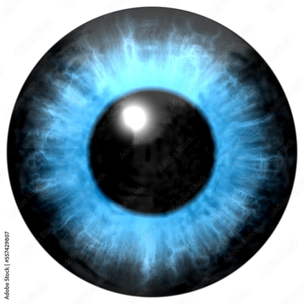 Human blue eye iris. Isolated blue eye in detail with light reflection Human blue eye iris. Isolated blue eye in detail with light reflection