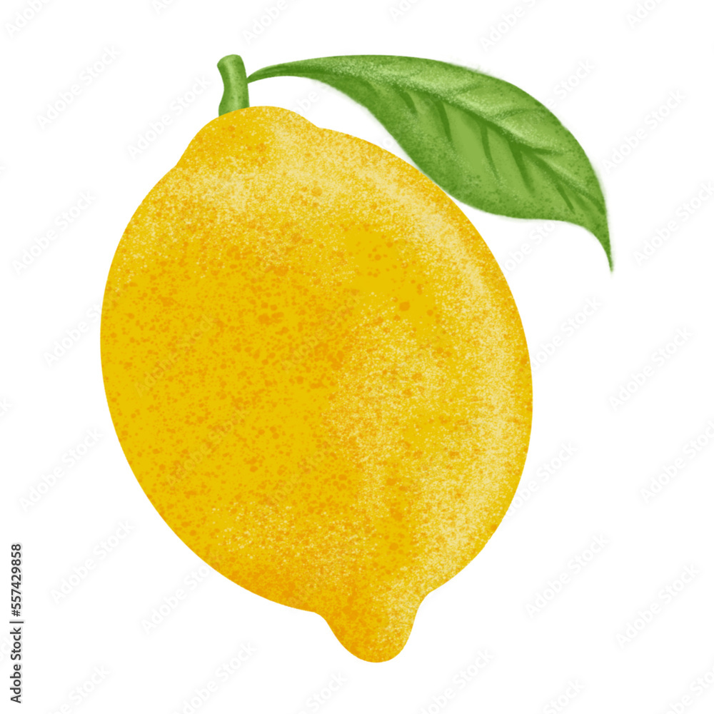 Lemon illustration, color painting.