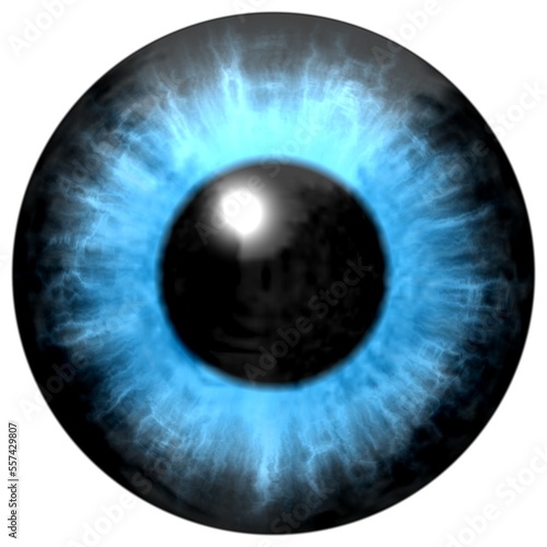 Human blue eye iris. Isolated blue eye in detail with light reflection