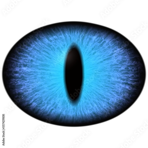 lue dragon eye. Isolated big elliptic eye with dark thin pupil