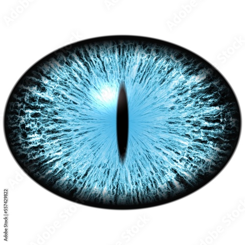 Lizard blue eye. Isolated blue eye. Big elliptic pupil looking at