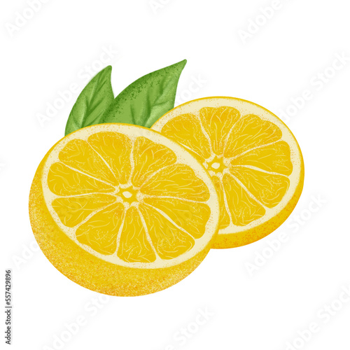 Lemon illustration, color painting.