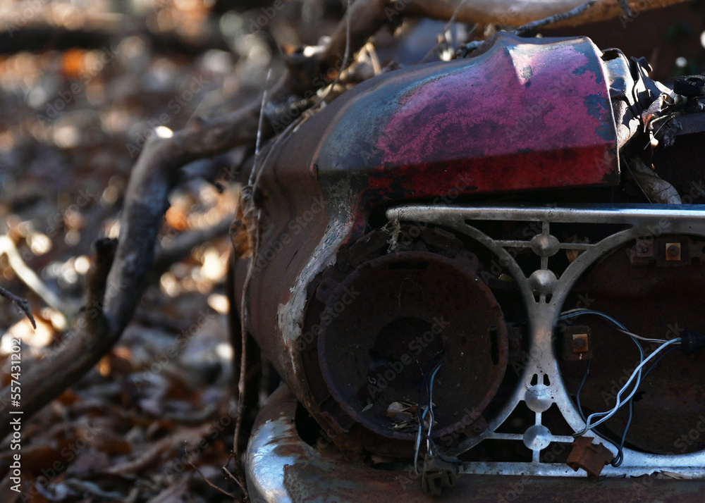 Red 1963 Fairlane in the woods