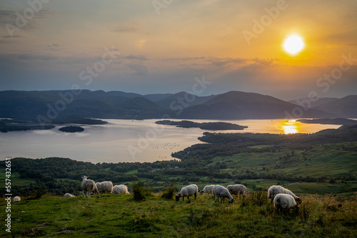 Photographie de paysage d'un coucher de soleil sur le loch lommond écossais depuis conic hill (balmaha) avec des moutons en avant-plan