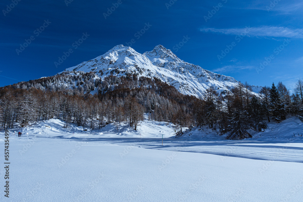 Fototapeta premium The mountains and the nature of val forno and val Bregaglia with fresh snow on the trees, lots of cold and a beautiful sun, near the village of Maloja, Switzerland - December 2022.