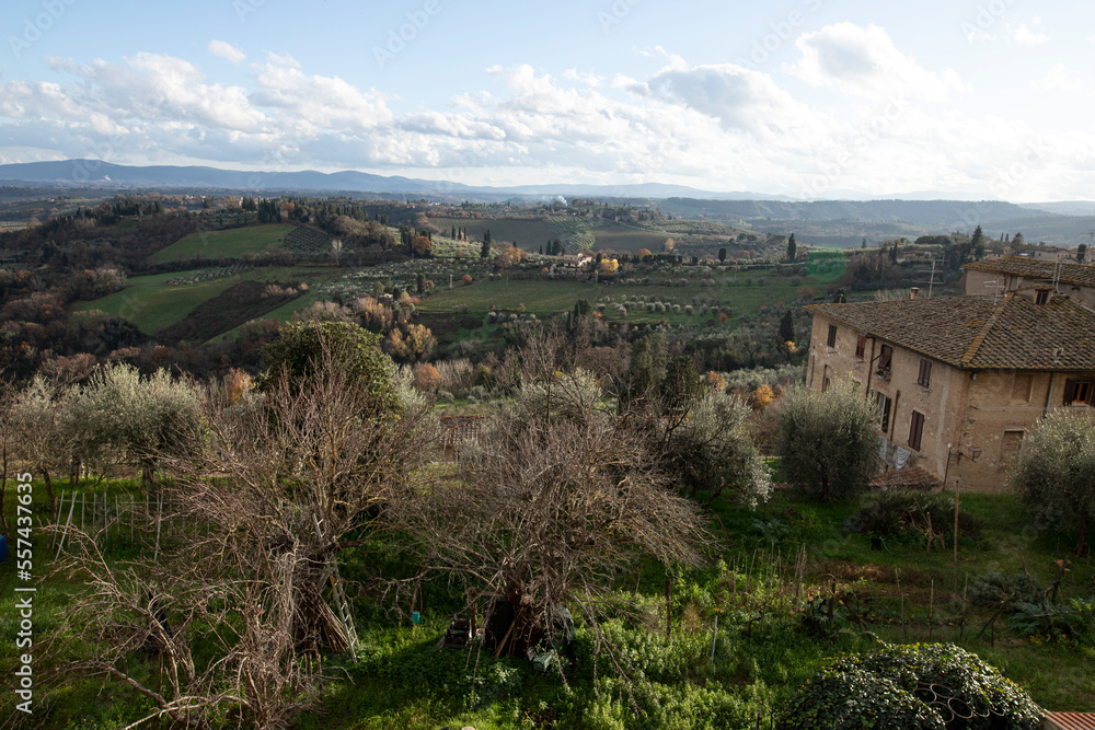Panorama of the Sienese countryside (Tuscany) in autumn, hills, trees and ancient rural houses.