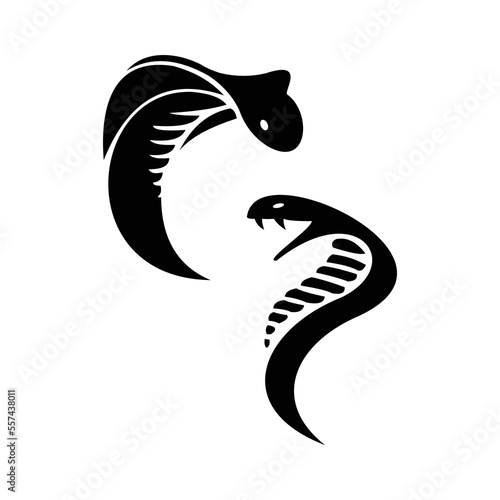 vector illustration of two heads of cobra snakes isolated on white background