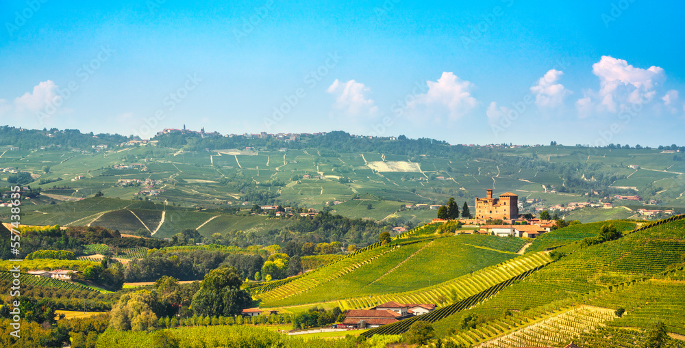Langhe vineyards and Grinzane Cavour castle, Piedmont region, Italy.