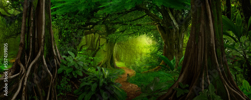 Deep tropical jungles of Southeast Asia in august