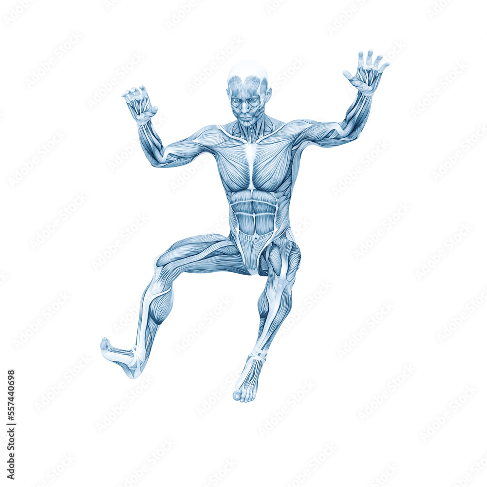 average man muscle maps is doing a parkour pose number nine average man muscle maps is doing a parkour pose number nine