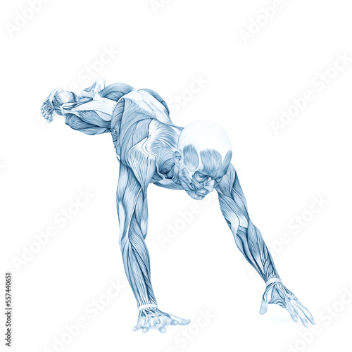 average man muscle maps is doing a parkour pose number fifteen © DM7