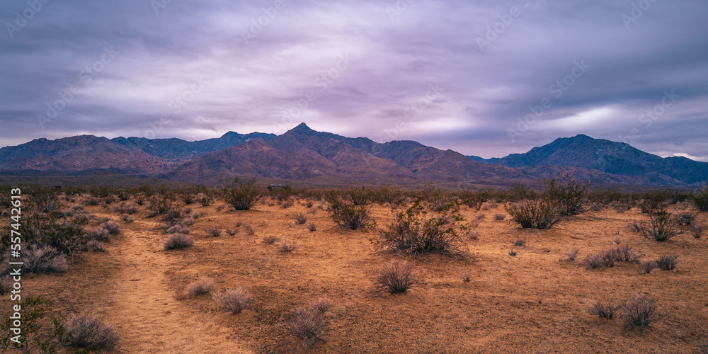 Mojave National Preserve Desert Wilderness Landscape Series at dusk, Dramatic cloudscape over Providence Mountains, in Essex, California, USA Mojave National Preserve Desert Wilderness Landscape Series at dusk, Dramatic cloudscape over Providence Mountains, in Essex, California, USA