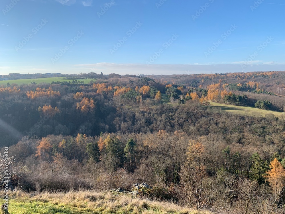Fototapeta premium Autumn colors