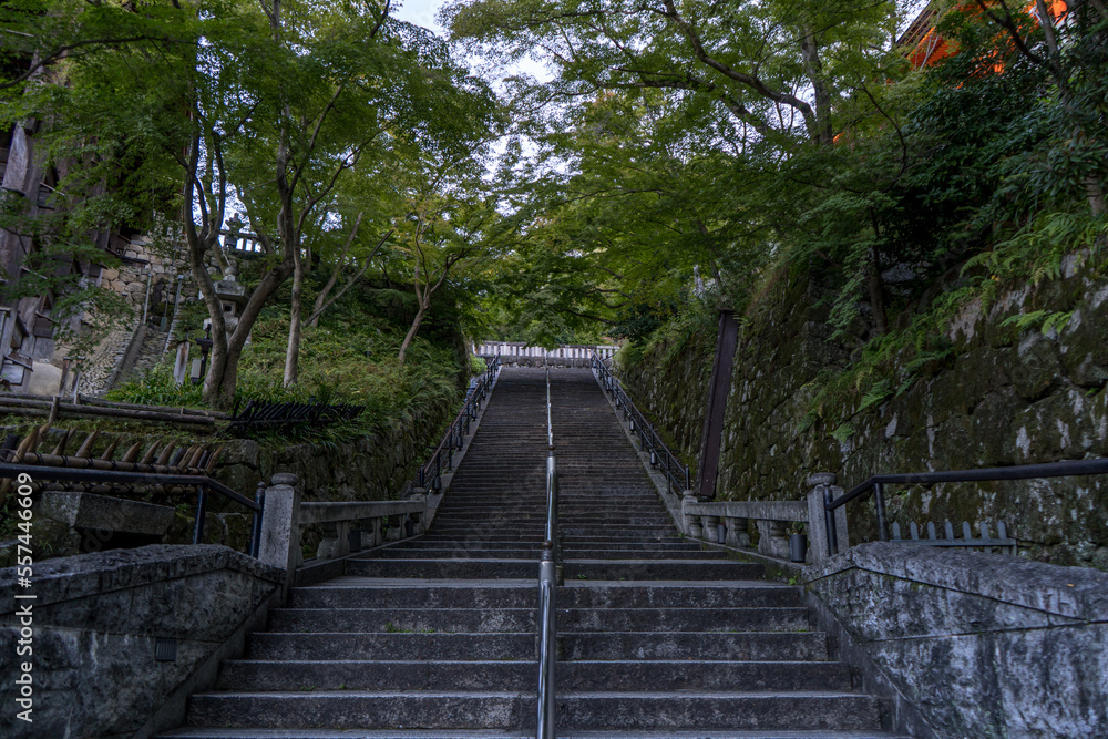 京都の清水寺の舞台横の長い階段