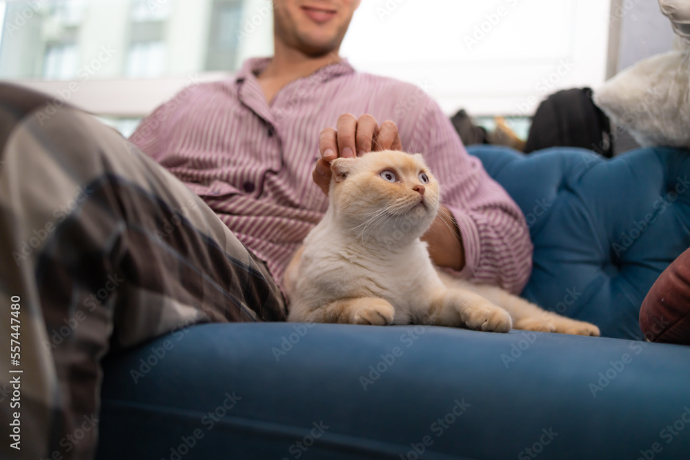 young man with his cute cat on the couch at home.