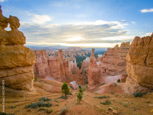 view into canyon of bryce canyon
