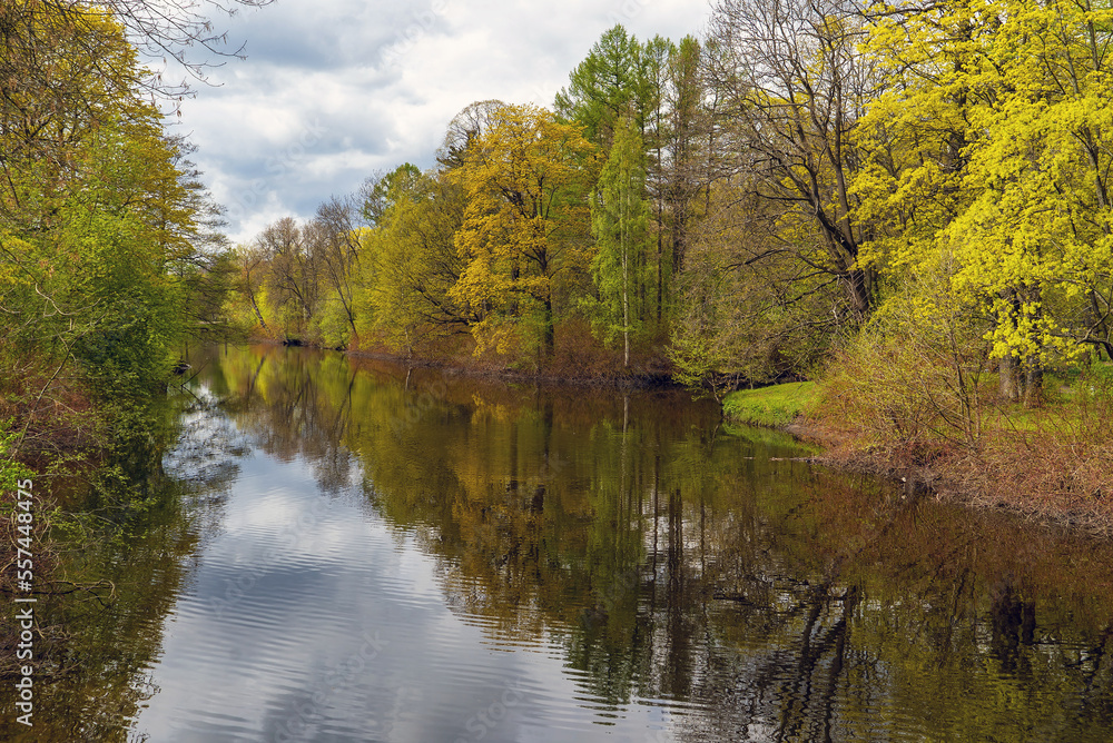 Forest lake reflected in the water surface with trees and clouds. Forest lake reflected in the water surface with trees and clouds.