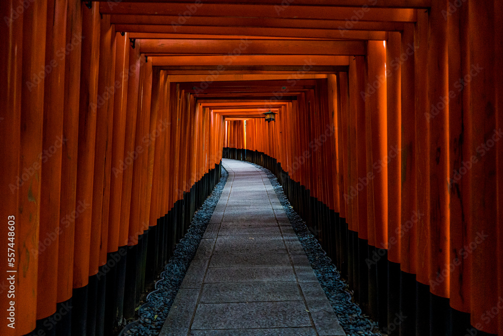 Fototapeta premium 千本鳥居で有名な、京都の伏見稲荷大社の風景