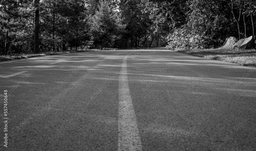 bike trail in Montreal (Jean Drapeau).Big bike path in the forest part of the park.Bike path in Montreal. Black and White