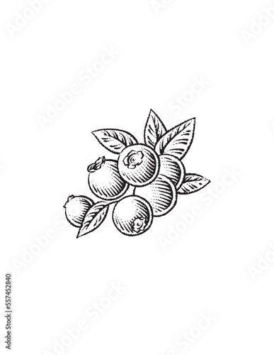 blueberries and leaves