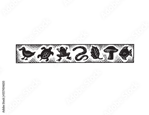 border illustration of water animals