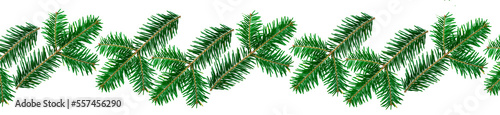 Panoramic pattern green fir branches on a white background.