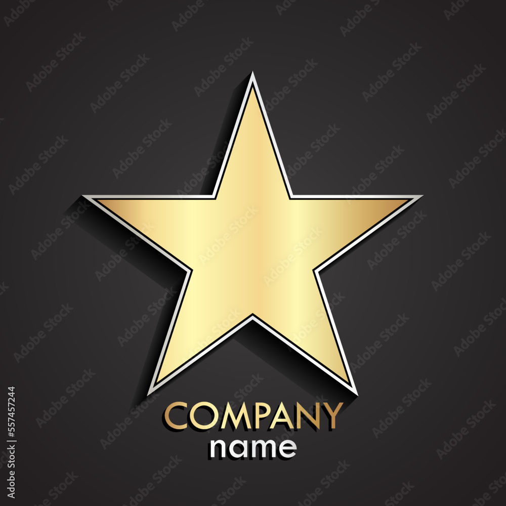 3d gold silver star modern logo 3d gold silver star modern logo