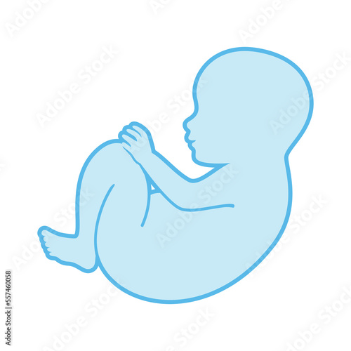 Cute baby boy newborn blue outline icon vector. Baby in fetal position graphic design element isolated on a white background. Adorable newborn silhouette drawing