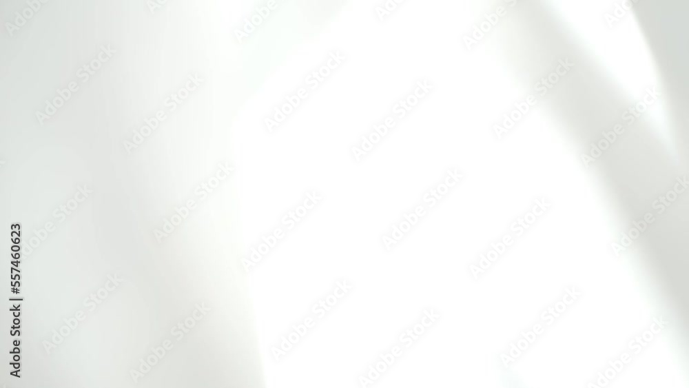Intentionally blurred image moved by the wind. Premium luxury design template. Animated soft pattern. Elegant light grey white seamless looped background. Intentionally blurred image moved by the wind. Premium luxury design template. Animated soft pattern. Elegant light grey white seamless looped background.