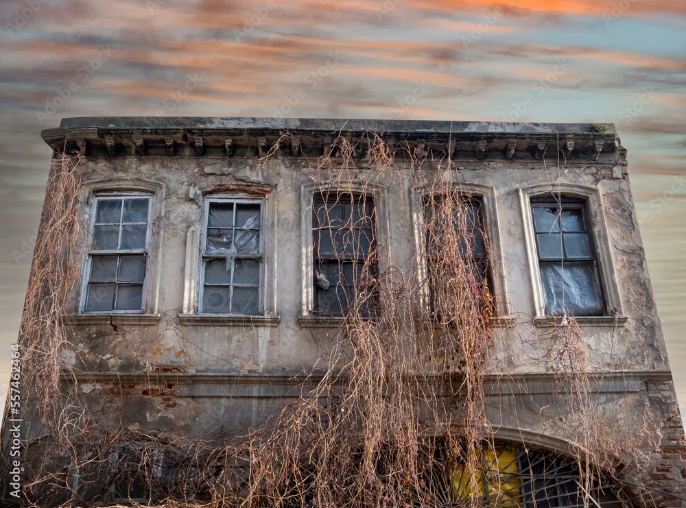 Haunted house. Old abandoned building covered with ivy. Haunted house. Old abandoned building covered with ivy.