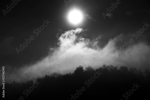 Moonrise silhouettes forest with wispy mountain clouds in the alps