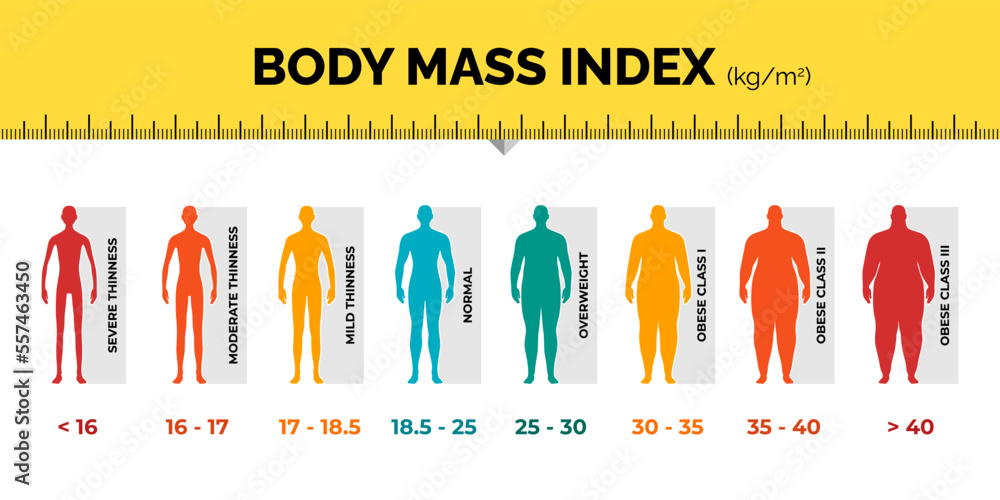 Vettoriale Stock BMI classification chart measurement man colorful  infographic with ruler. Male Body Mass Index scale collection from  underweight to overweight fit. Person different weight level. Vector  illustration | Adobe Stock