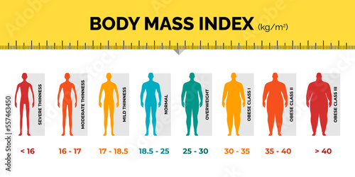 BMI classification chart measurement man colorful infographic with ruler. Male Body Mass Index scale collection from underweight to overweight fit. Person different weight level. Vector illustration