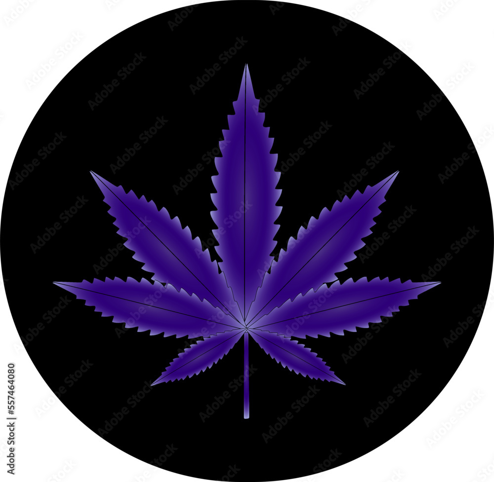Vector illustration of marijuana leaf, cannabis plant used for medicinal purposes Vector illustration of marijuana leaf, cannabis plant used for medicinal purposes