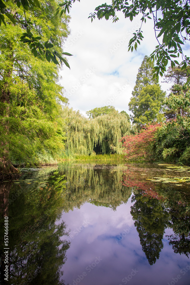 Lake at Cambridge Botanical Gardens