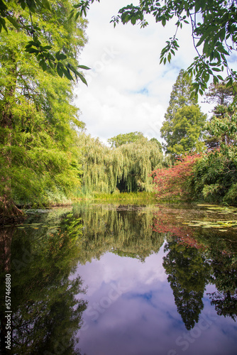 Lake at Cambridge Botanical Gardens