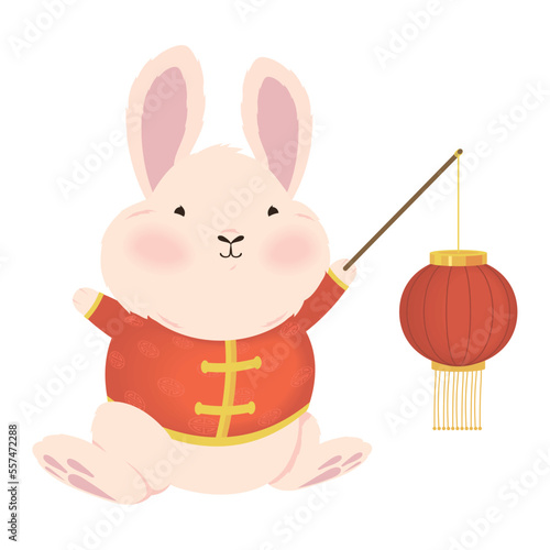 rabbit chinese with lamp