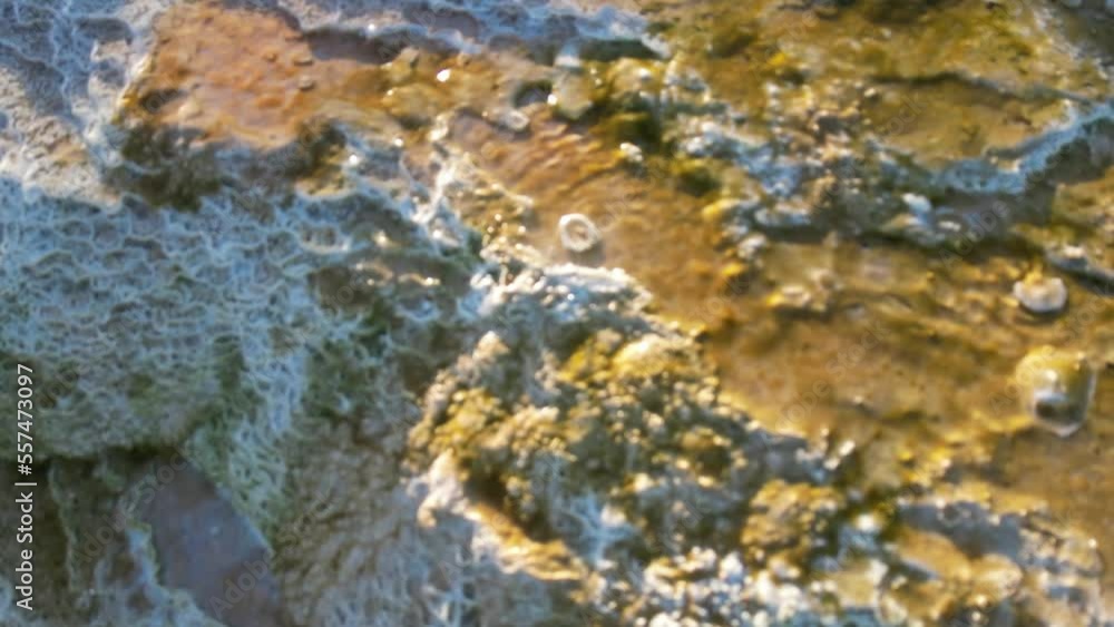 natural thermal hot waters and travertine formations natural thermal hot waters and travertine formations