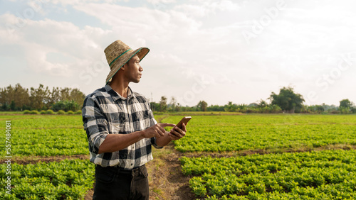 Smart farmers read or produce quality reports and insect bites on peanut leaves. Target farming with vintage template on sunlight agriculture concept, asia man farmer worker