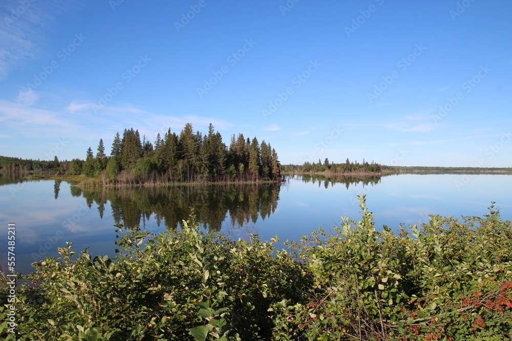 reflection of trees in lake, Elk Island National Park, Alberta
