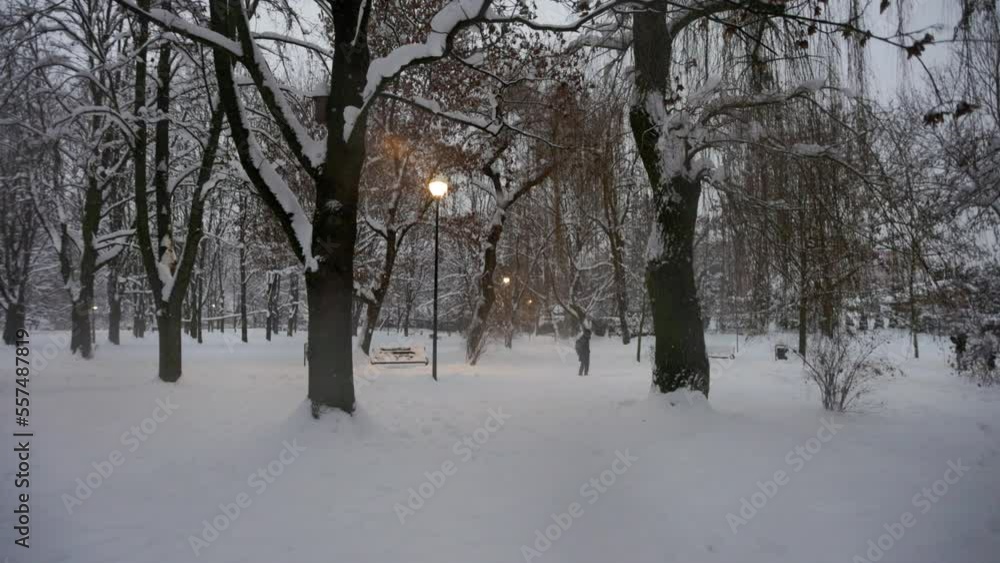 A man walks through a winter park under falling snow. A man walks through a winter park under falling snow.