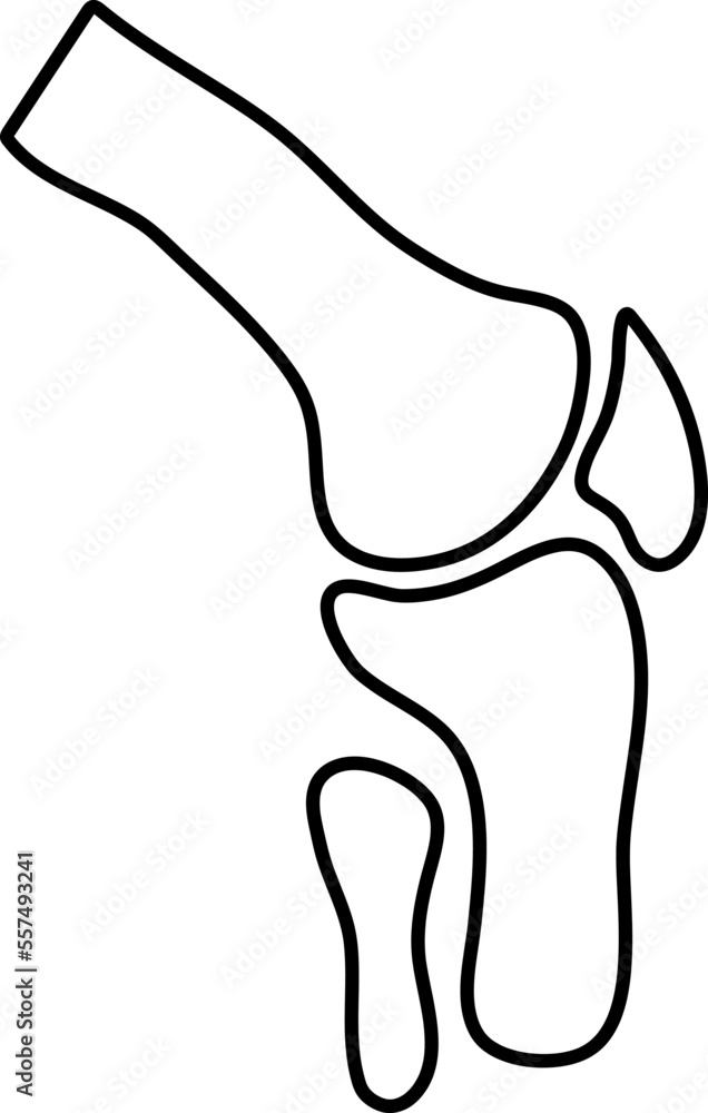 Joint icon symbol. Premium quality isolated knee element in trendy style Joint icon symbol. Premium quality isolated knee element in trendy style