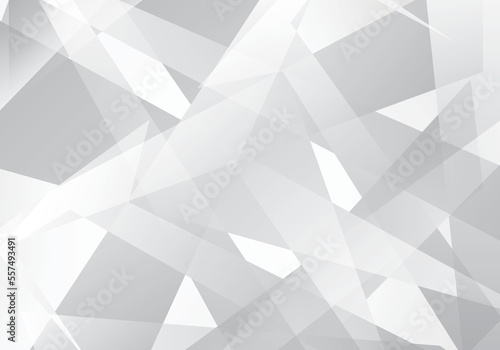 Fototapeta Naklejka Na Ścianę i Meble -  white and gray geometric background trendy