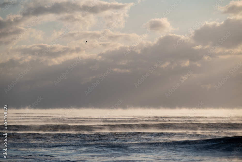 warm ocean water evaporates rapidly in extremely cold weather, producing fog. rare condensation phenomenon 